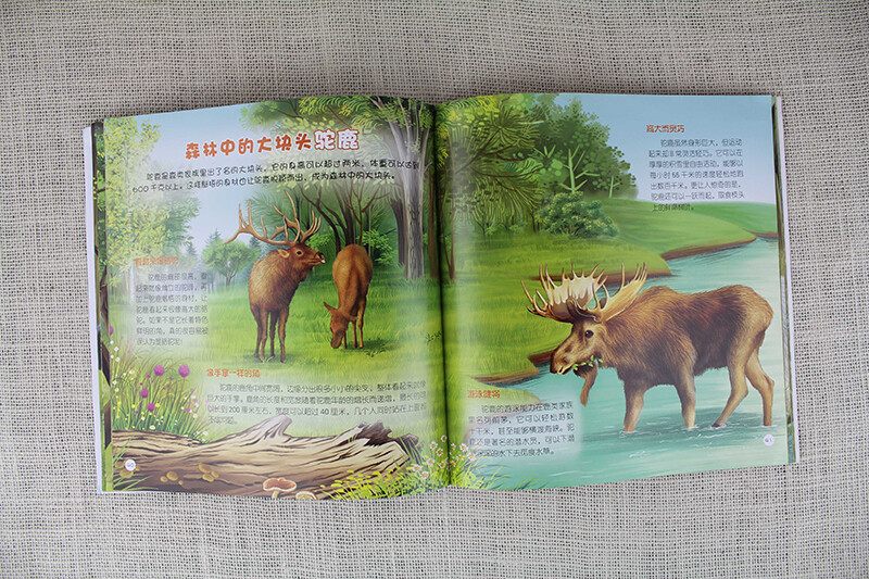 3-6 years old Children's Eyes on the World Science Museum Forest Animals