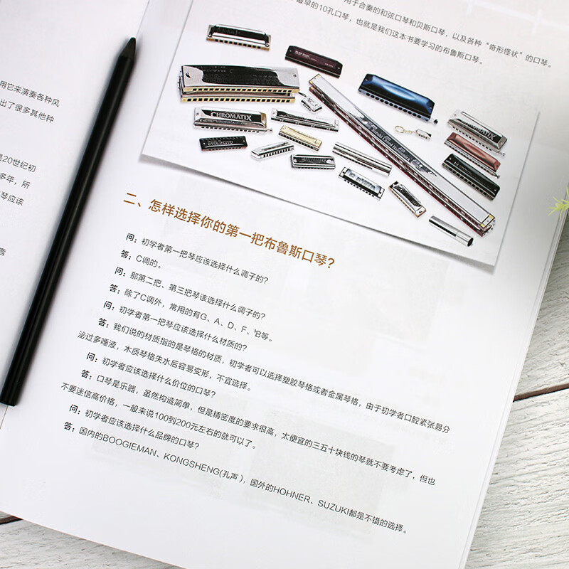 Blues Harmonica January Pass