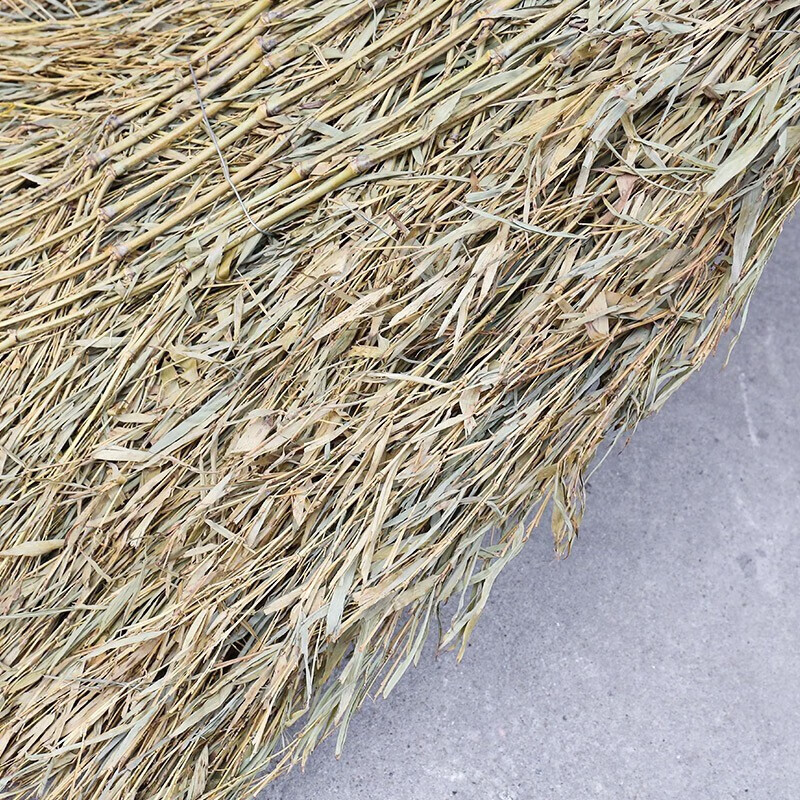 Lingxiang Sanitation Broom Broom Broom Street Sweeping Bamboo Broom Bamboo Broom Large Broom Broom High 2 Meters Bamboo Pole Style