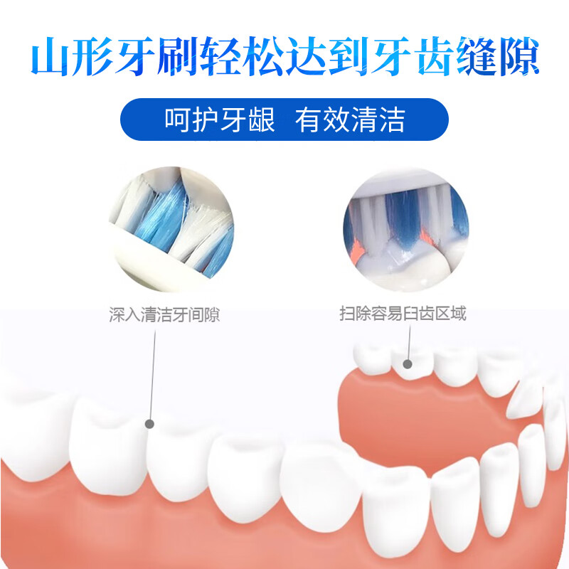 Lion adult toothbrush 1 pack large head soft bristles deep cleaning elastic brush handle imported from Japan