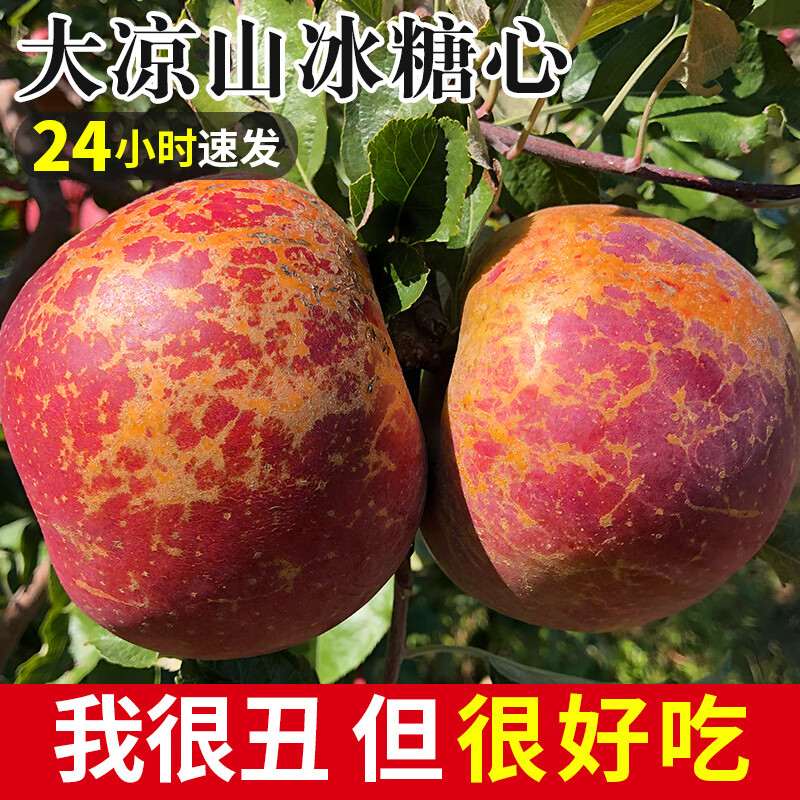 Ugly Apple Fruit Fresh 10 Jin Daliangshan Yanyuan Apple Seasonal Whole Box Pregnant Women Rock Candy Heart Authentic Red Fuji 9 Jin (Bag Fruit) 80-85mm (Not Included) Big Fruit Bigger and Sweeter