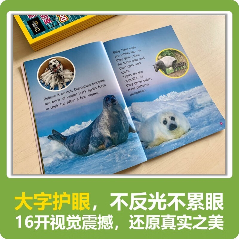 Malt Master Little Koala Reading Pen Matching Book National Geographic Popular Science English Graded Reading English Enlightenment Learning Book Foreign Language Graded Reading Classic IP National Geographic Ladder Graded Reading Part of the Reading Pen Included Level 3 Suitable for Junior High School