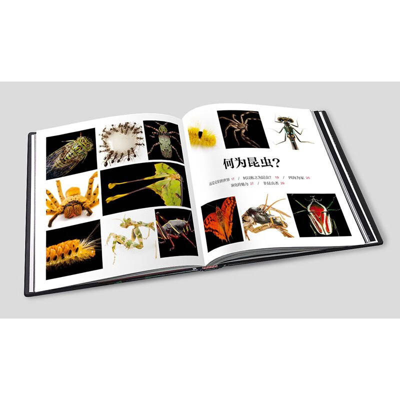 National Geographic Complete Book of Wonderful Insects