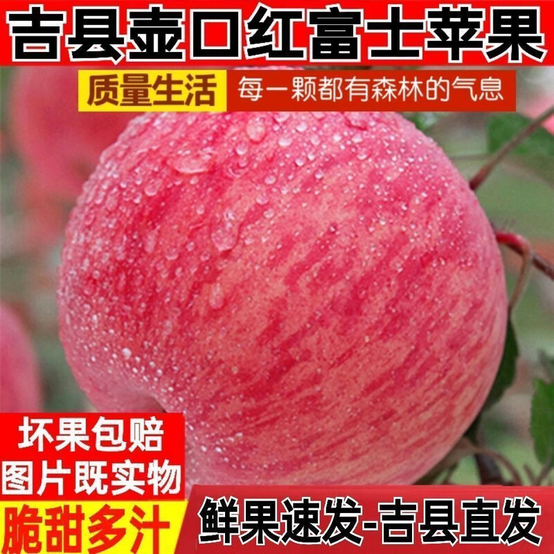 Jixian apples, bursting with sweetness, 2025 authentic Jixian apples, crispy, sweet and juicy Hukou apples, fresh fruit whole box shipped directly from the origin, 8.5 catties, 85mm large fruit, about 18 pieces, Jixian Hukou apples in season