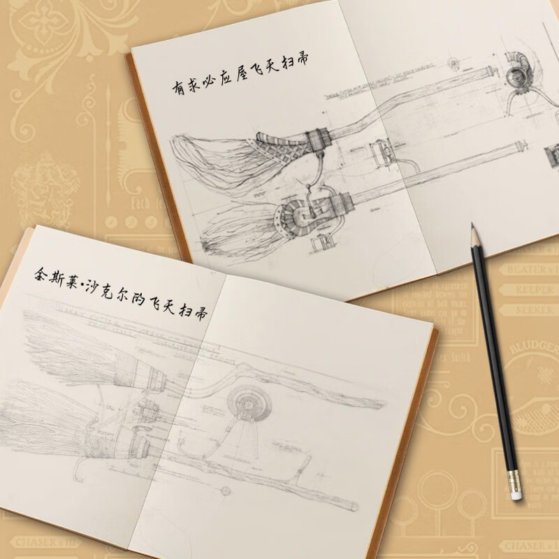 Harry Potter Broomstick Set, Warner Genuine Authorized Simplified Chinese Version (Limited Gift Randomly Dropped) 550th Anniversary of Quidditch Game J.K Rowling Harry Potter Formula Book Peripheral Golden Snitch