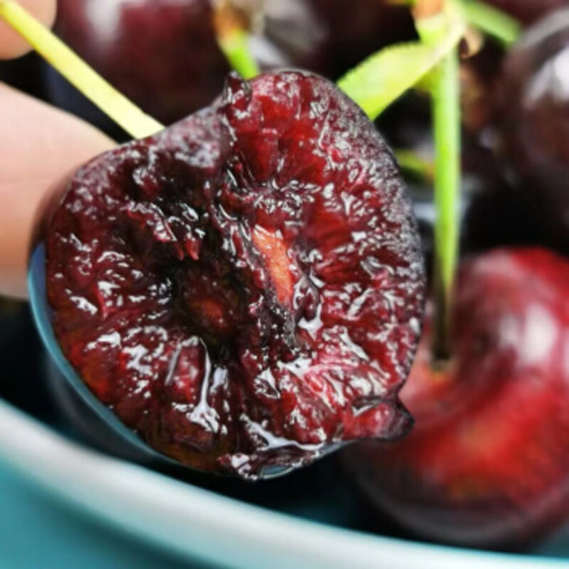 Mu Xiaoqi fruits and vegetables Australian Tasmanian cherries can be delivered to your door Imported REID Golden Kangaroo New Year Fruit Gift Box 1 catties (net weight) High-end gift box + fresh lock Super Big Mac 4J Single fruit 32-34mm