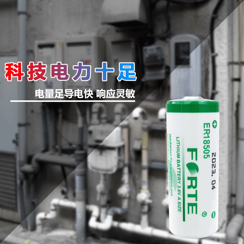 FORTE ER18505 smart water meter heating thermal flow meter smoke alarm locator PLC servo 3.6V lithium battery ER18505-bare battery