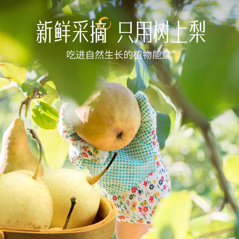 Grandpa's farm autumn pear cream for infants and young children 0 additives portable pure pear cream Laiyang Qiuyue pear snacks 90g pear juice juice snow pear