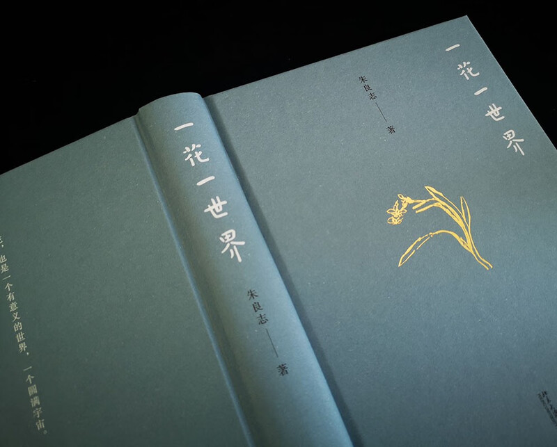 One Flower, One World, a work by the China Good Book Wenjin Book Award-winning author and esthetician Professor Zhu Liangzhi