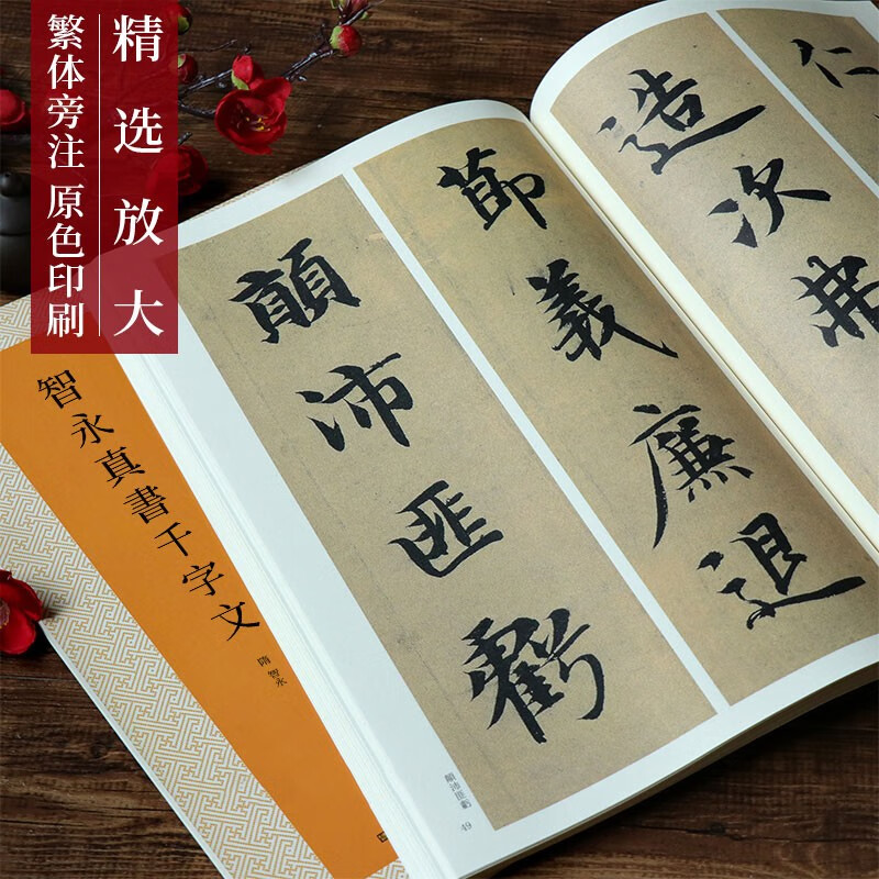 Zhiyong Zhenshu's Thousand-Character Text, full-text enlarged version, high-definition color version of tablets and inscriptions with traditional Chinese marginalia, regular script introductory practice brush calligraphy practice calligraphy, Jiangsu Phoenix Art Publishing House