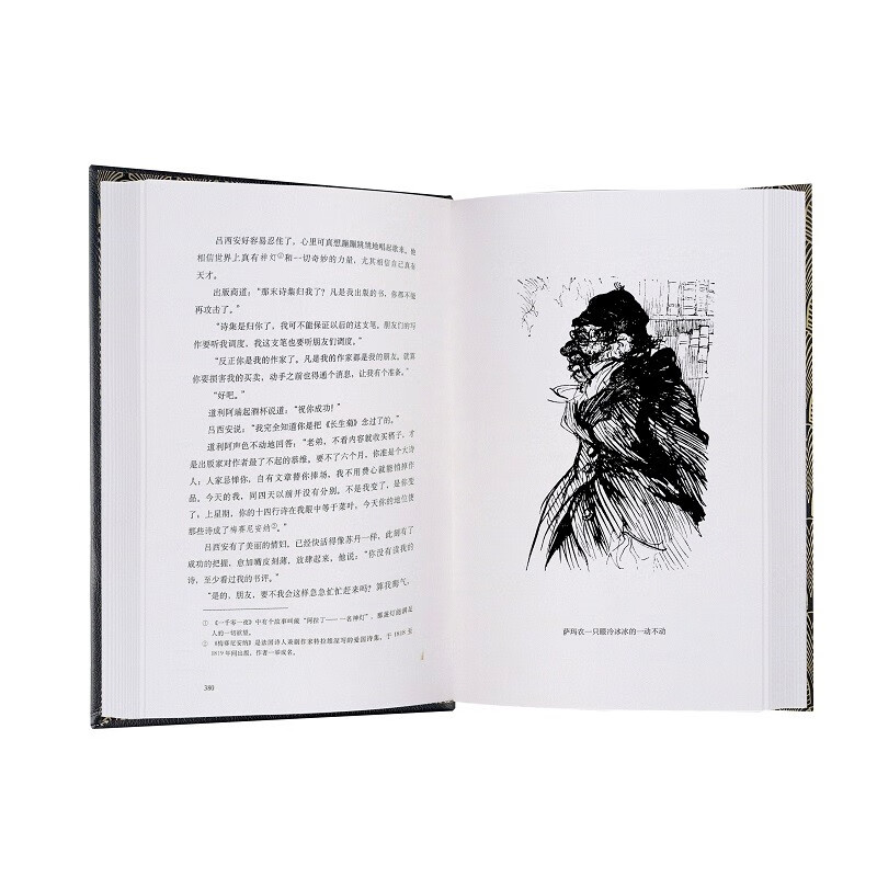 Translated Illustrated Collector's Edition Disillusionment 016 Novel