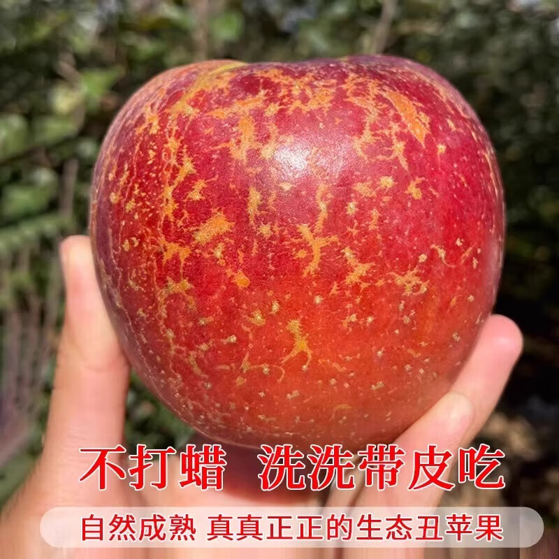 Jingmi Sichuan Daliangshan Ugly Apple, 8 pounds net, single fruit 80mm+, fresh fruit rock candy heart apple, straight from the source