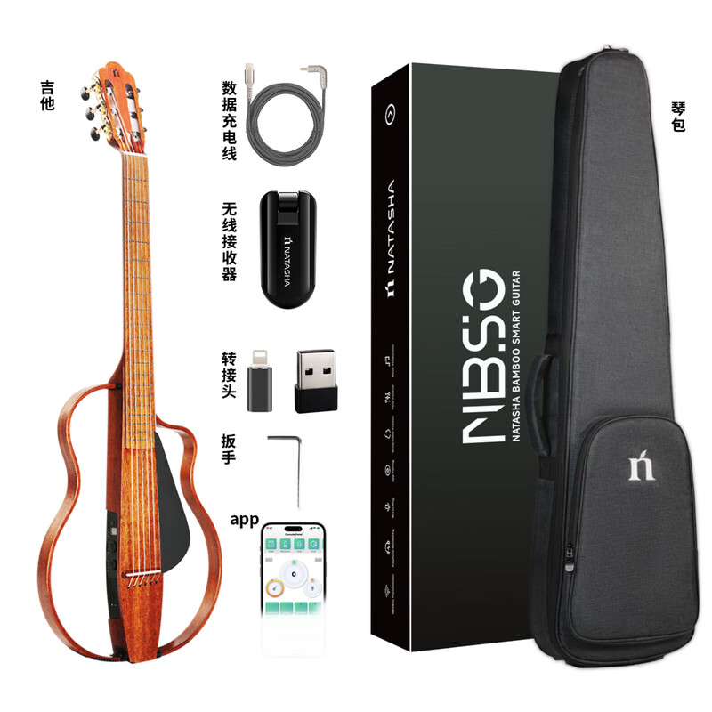 Natasha MSG mahogany core 39-inch smart silent folk steel string classical nylon stage electric box guitar