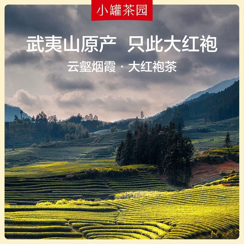 Small pot tea Yuexiang series Dahongpao tea gift box small package oolong tea Dianhong 4g*2