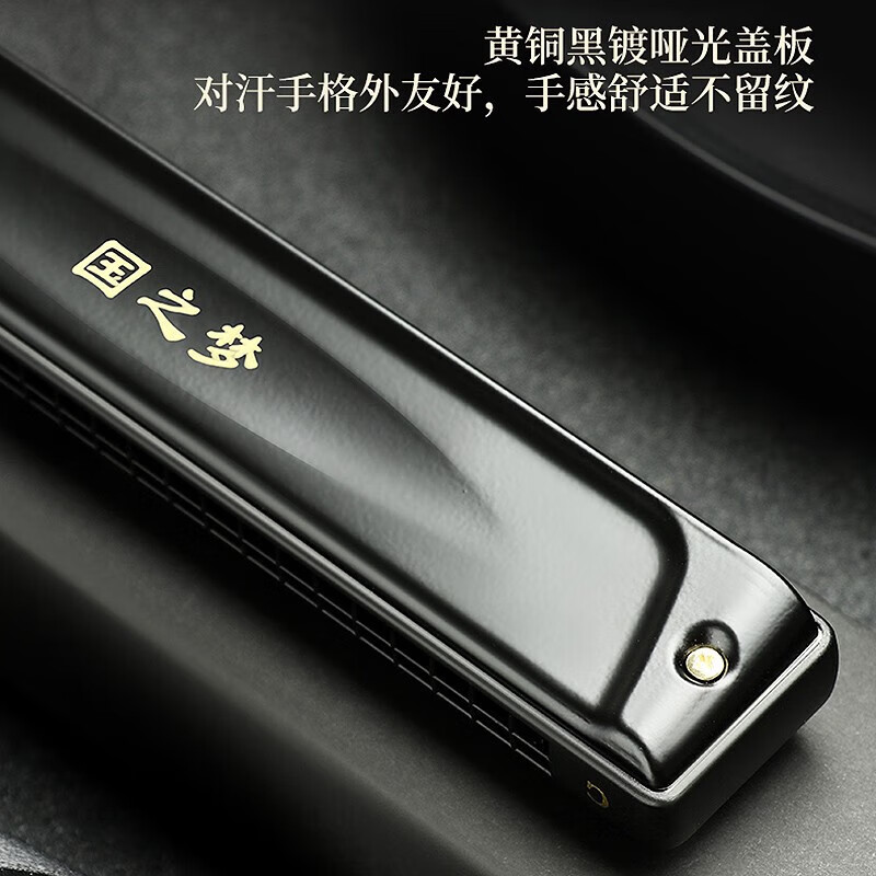 Guoguang Guozhimeng professional performance harmonica 24-hole polyphonic #A/B/C/D/E/F/G adult high-end competition harmonica 28-hole C-key polyphonic black wide range performance grade