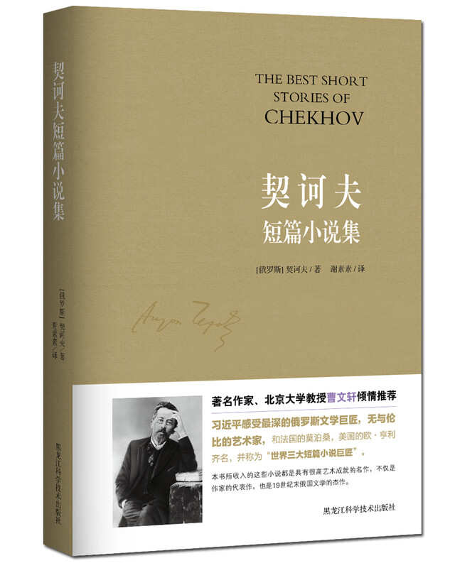 Chekhov's Short Stories Novels