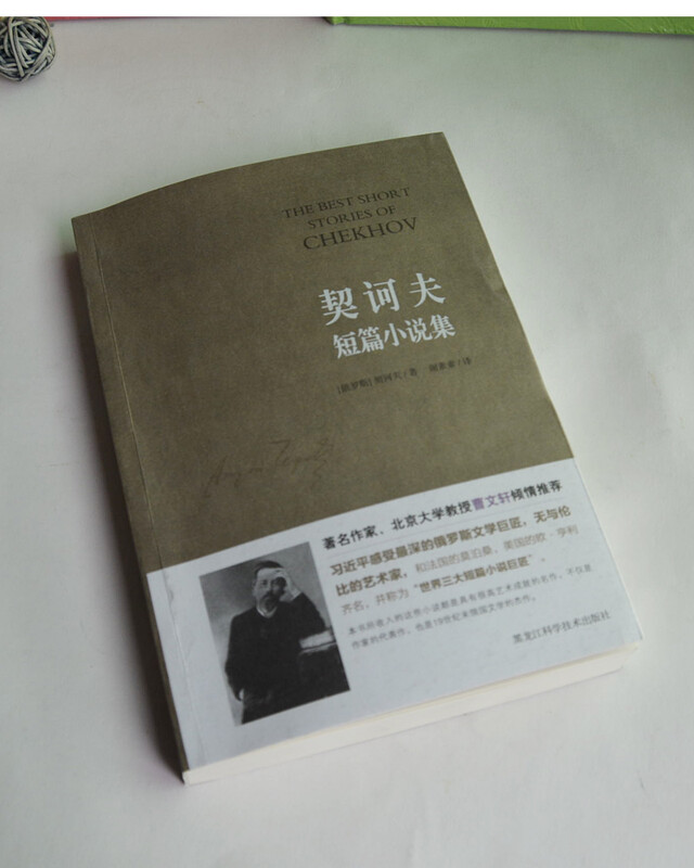 Chekhov's Short Stories Novels