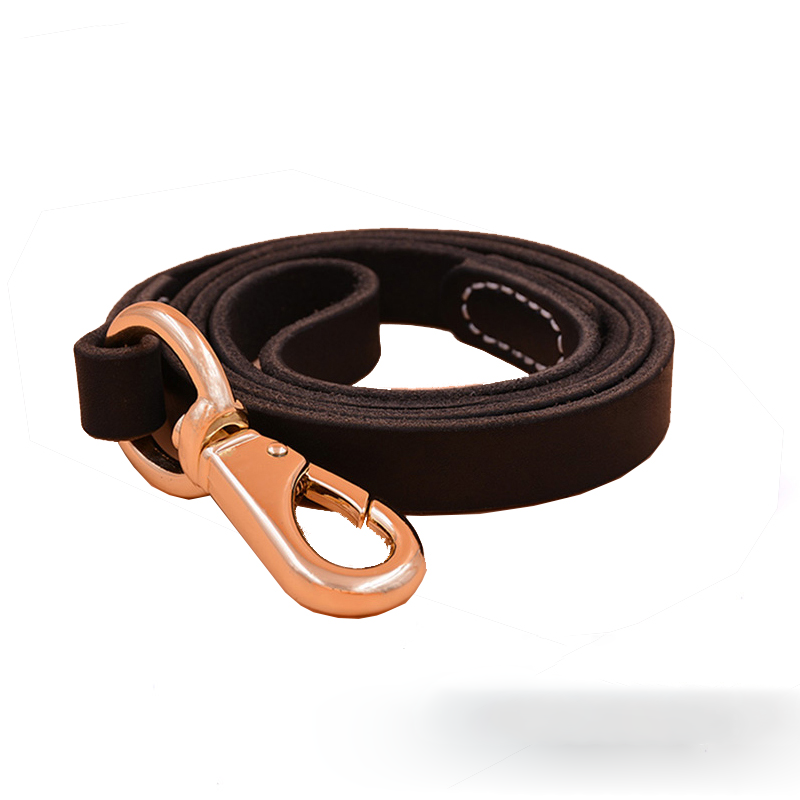 AYOUA dog leash collar, medium and large dog rope, cowhide golden retriever dog leash, Labrador Retriever, German Shepherd, dark brown, 1.1 meters long, leash (not including collar)