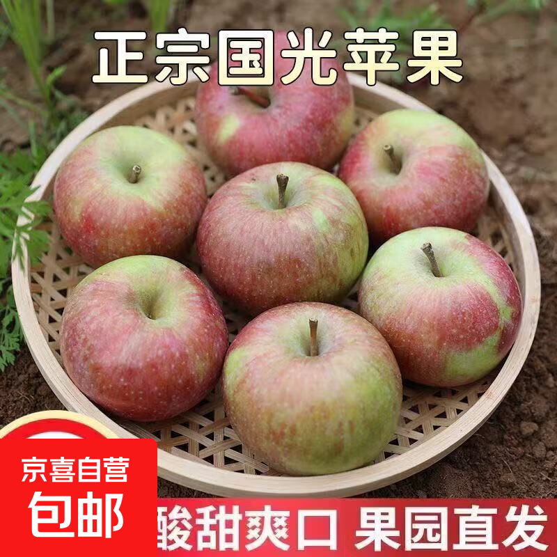 Fresh small Guoguang apple Northeastern authentic old tree Guoguang apple sour and sweet seasonal fruit for pregnant women 9-9.5 catties large fruit (with box)