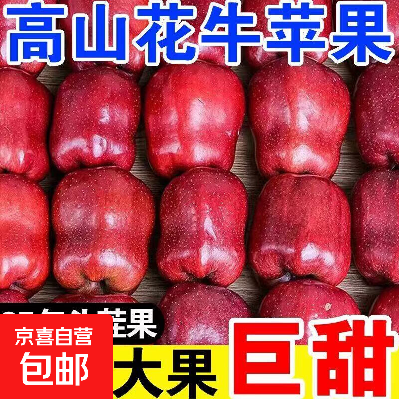 Gansu Tianshui Huaniu Apple Whole Box Seasonal Fresh Red Snake Fruit Powder Noodles Baby Food Complementary Fresh A6 Box 2 catties Fruit Diameter 75mm or More