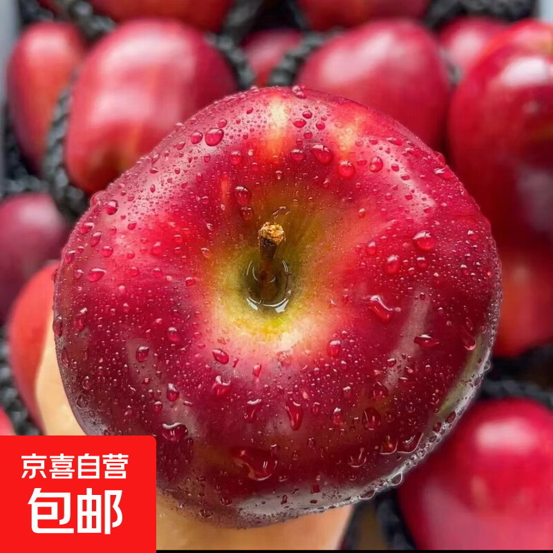 Fresh Huaniu Apple, produced in Tianshui, Gansu Province at a high altitude, for hair straightening. Sufficient moisture, suitable for all ages, healthy and fragrant. Nine-pound package, 85mm (inclusive)-90mm (inclusive)