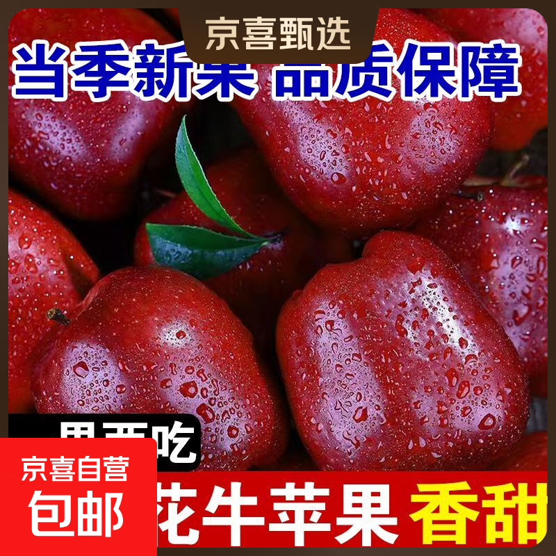 Origin: Gansu Tianshui Huaniu Apple, seasonal fresh fruit, sweet apple powder, 12 pieces in a selected gift box