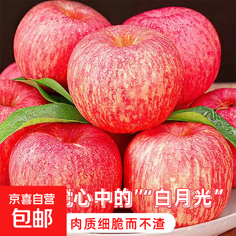 Luochuan Guangguo high-quality Fuji apples are crisp, sweet and delicious seasonal fruits fresh straight delivery 10 catties single fruit 70mm+ in box