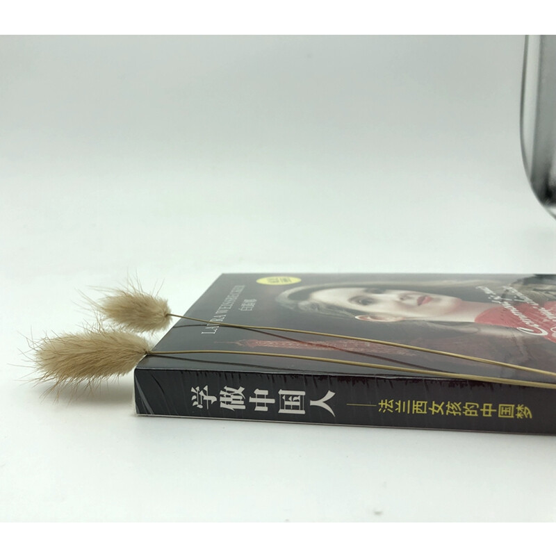 Learn to be Chinese, French girls’ Chinese dream