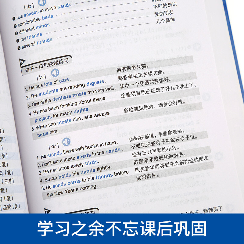 The King of English Beginners - From ABC to Fluent English Speaking Books, Learning English from Zero Basics, Self-Study English Grammar, Foreign Language Learning, Quick Self-Study Textbook of English