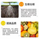Mineral source potassium fulvic acid export grade Wujin mineral source potassium fulvic acid vegetable fruit crops take root and strengthen seedlings 5Jin Jin is equal to 0.5kg sub-package
