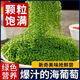 盐渍海葡萄泡发食用 儿童海藻菜海洋蔬菜海草 海葡萄100g*5袋【送芥末酱油】
