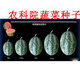 Sweet 4K Watermelon Seeds Spring and Autumn Sowing Station Divine Watermelon Seeds Thin Skin Dry Juice High Sweetness Low Temperature and Low Light Resistance 600 capsules/bag