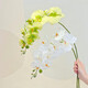 Flower e-flow Phalaenopsis artificial flower fake flower table decoration light luxury high-end flower arrangement dining table floral decoration home decoration 1 branch white + narrow mouth flat bottle