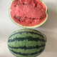 Zhongke Maohua Melon Fruit Seeds Zhongke Milong Sweet King Watermelon Seeds Large Fruit Type Big Red Flesh Single Melon 15-20 Jin Jin equals 0.5 kg Easy to grow Zhongke Milong 100g/box About 1600 seeds for seedling cultivation
