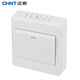 Chint (CHNT) NEW1-C00100A exposed switch socket wall panel exposed box installation positive five-hole two-three plug 86 type elegant white NEW1C/one open single control