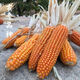 Old varieties of yellow corn kernels. Self-saved seeds. Farmer stupid corn seeds can be self-saved. 50 grams of old corn seeds.