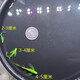 Butterfly wing zebrafish long tail long fin ornamental fish cold water small freshwater goldfish live easy to raise freshwater ornamental fish small random 2-3 cm 2 pieces