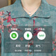 
Langshilan middle-aged and elderly summer clothing female grandma suit mother short-sleeved T-shirt top 60-70 years old two-piece set of elderly clothes 983 green (single piece) L (recommended 70-85 Jin [Jin equals 0.5 kg])