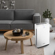Panasonic [Nationale Subvention] Haushaltsluftreinigerentfernung Formaldehyd Toluol Entfernung Haustierentfernung Geruchsentfernung Allergenluftreinigung 61C7pd