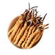 
QOMO Tibet Nagqu Cordyceps sinensis High-altitude Dried Cordyceps Wild Cordyceps Natural Growth Nagqu Cordyceps Gift Box Gift Box Gift Box Gift Box 3-4 Rods/g 10g (35-40 Rods)