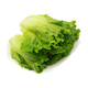 
[Plateau Summer Vegetable] Zhonglingshan Roman Lettuce 400g