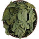 Xiushui Wildgrün und Qian Liu Tea Qingjin Geld Spezielle Grade Ancient Tree Tender Blätter Originalblätter mittleren Alters und älterer Gesundheit Tee zwei Jin [Jin entspricht 0,5 kg] 1000 Gramm Originalblätter