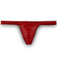 Men's underwear pervert thong mesh see-through T-pants men's thong sexy breathable low waist see-through red M