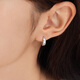 Lukfook Jewelry Platinum 950 Sparkling Platinum Earrings Earrings Price G07TBPE0010 2.65g (including labor cost 239 yuan)
