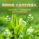 传奇会乌龙茶 凤凰单枞 鸭屎香特级500g礼盒装茶叶自己喝送礼礼品