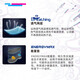 Victor Victory Badminton Shoes Sports Shoes P9200TD-Bright White/Dark Jade Gray Bright White/Dark Blue 36