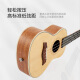 相思鸟尤克里里ukulele乌克丽丽小吉他考级练习云杉木单板23寸