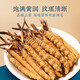 Cordyceps gift box Cordyceps gift box 2 high altitude cordyceps 1 gram dry goods Cordyceps gifts good tonics. 30 gift boxes for each high altitude 0.5 grams each in Nagqu, Tibet