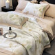 Meet the Beauty Tencel Air Conditioning Quilt Three-piece Set Double-sided Washable Ice Silk Summer Quilt Thin Naked Sleeping Satin Summer Cooling Quilt Skin-Friendly Summer Quilt Xiyan Green 150*200cm+2* Pillowcases