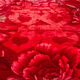 Red Dragonfly Wedding Rasher Blanket Свадебное одеяло Большое красное красное двойное утолщенное покрытие одеяло теплое флисовое одеяло CC-655 Rasher Blanket-Big Double счастье 180*220 см [около 6JIN [JIN равно 0,5 кг]]]